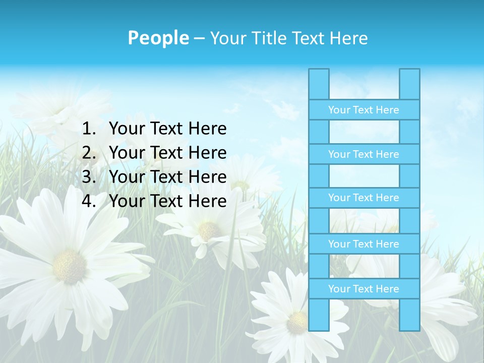 Countryside Plain Daisy PowerPoint Template