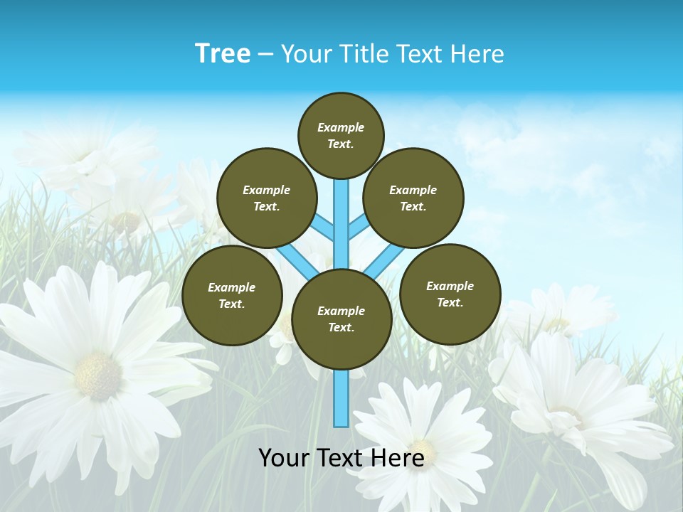 Countryside Plain Daisy PowerPoint Template