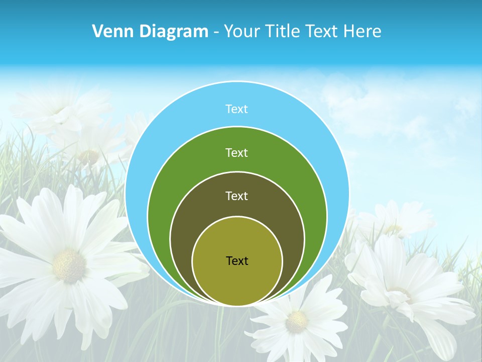 Countryside Plain Daisy PowerPoint Template