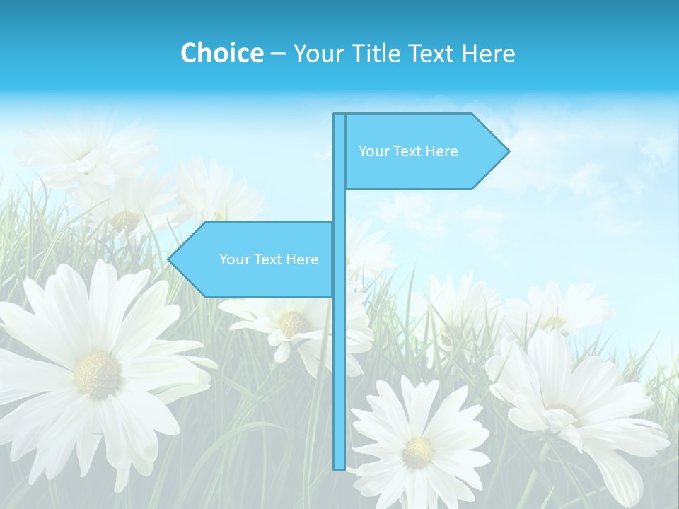 Countryside Plain Daisy PowerPoint Template
