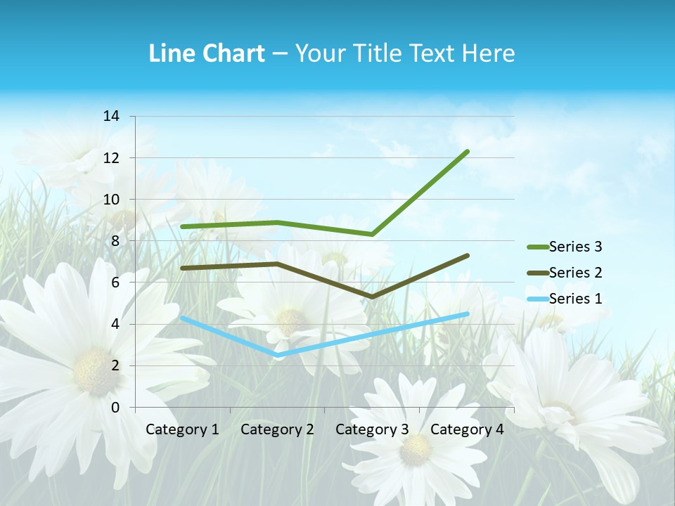 Countryside Plain Daisy PowerPoint Template