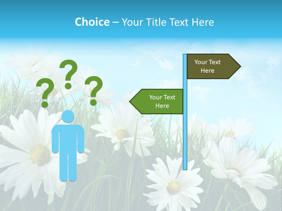 Countryside Plain Daisy PowerPoint Template