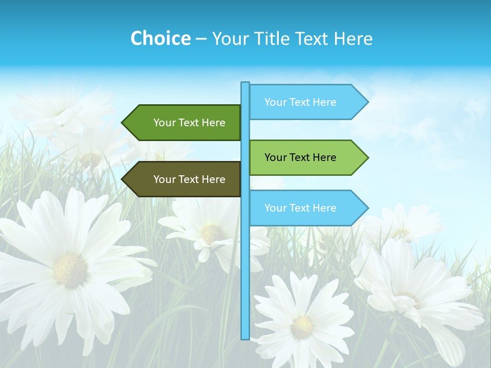 Countryside Plain Daisy PowerPoint Template