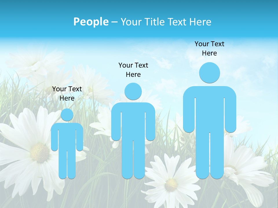 Countryside Plain Daisy PowerPoint Template