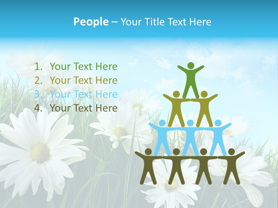 Countryside Plain Daisy PowerPoint Template