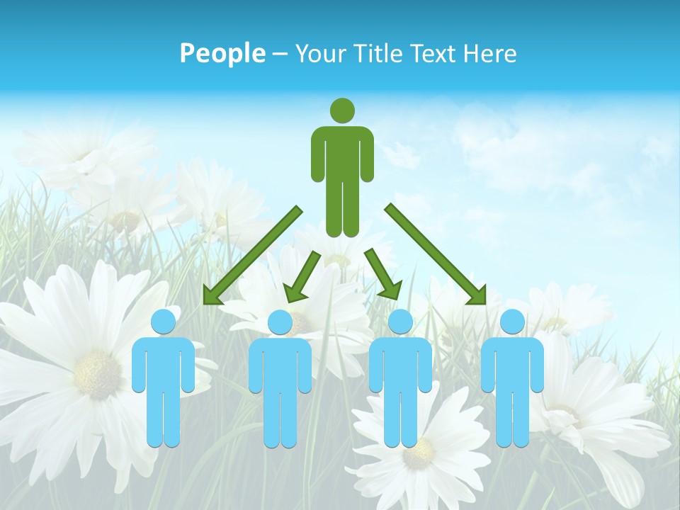 Countryside Plain Daisy PowerPoint Template