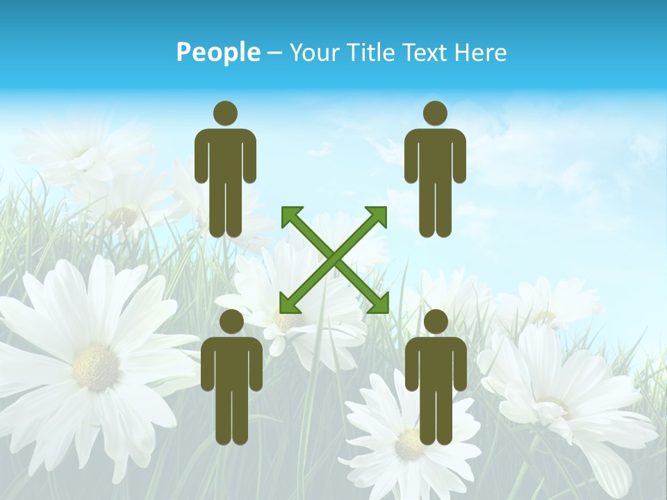 Countryside Plain Daisy PowerPoint Template