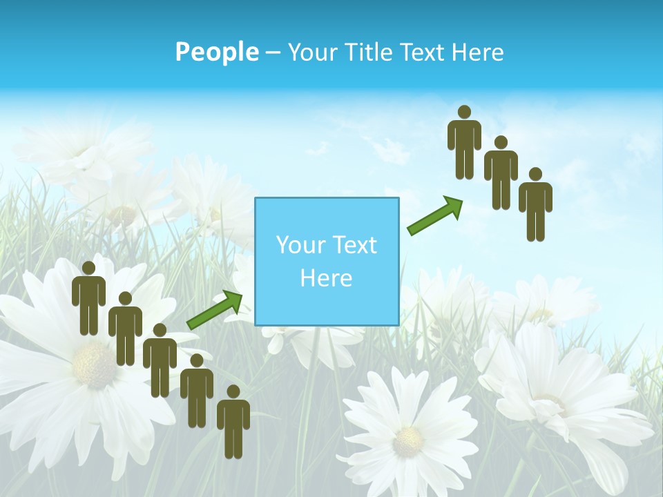 Countryside Plain Daisy PowerPoint Template