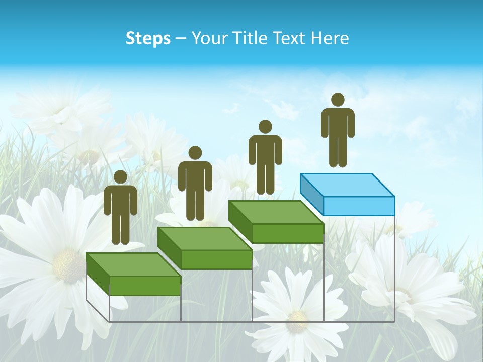 Countryside Plain Daisy PowerPoint Template