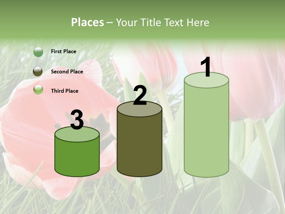 Sunlight Mother Garden PowerPoint Template