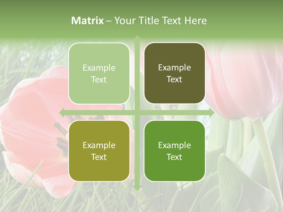 Sunlight Mother Garden PowerPoint Template