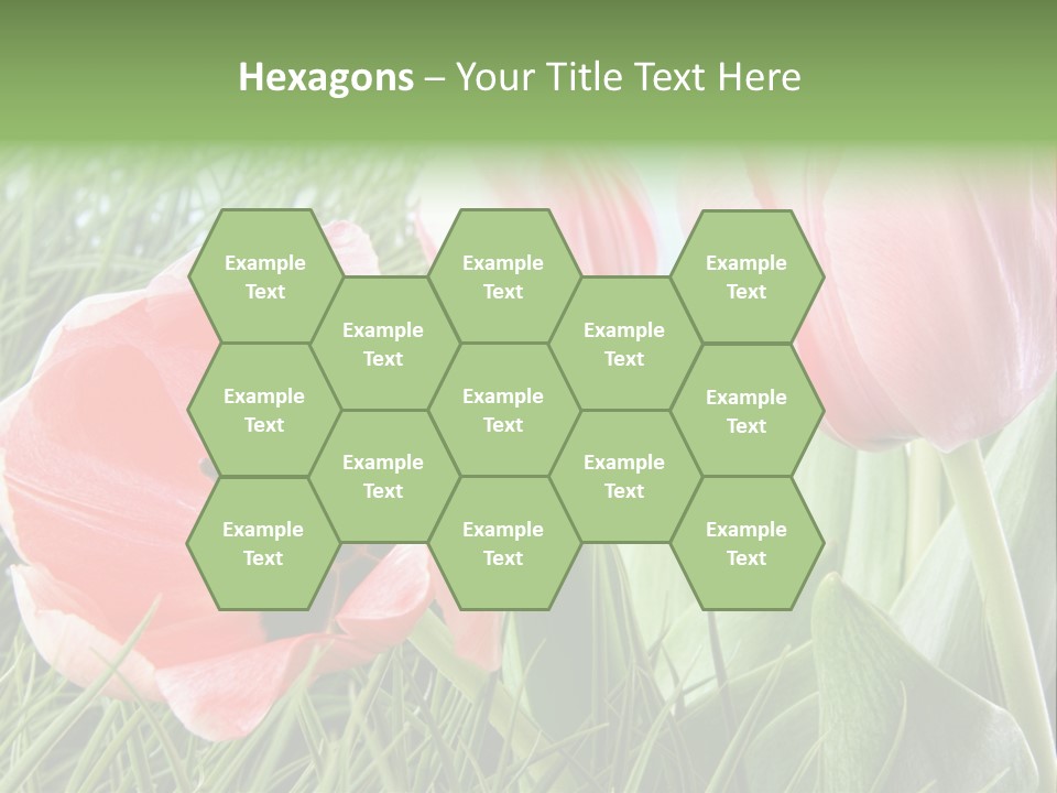 Sunlight Mother Garden PowerPoint Template