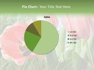 Sunlight Mother Garden PowerPoint Template