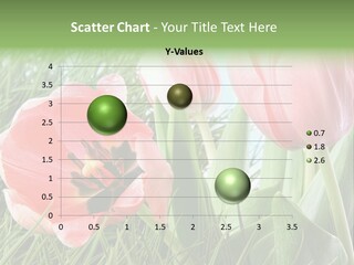 Sunlight Mother Garden PowerPoint Template