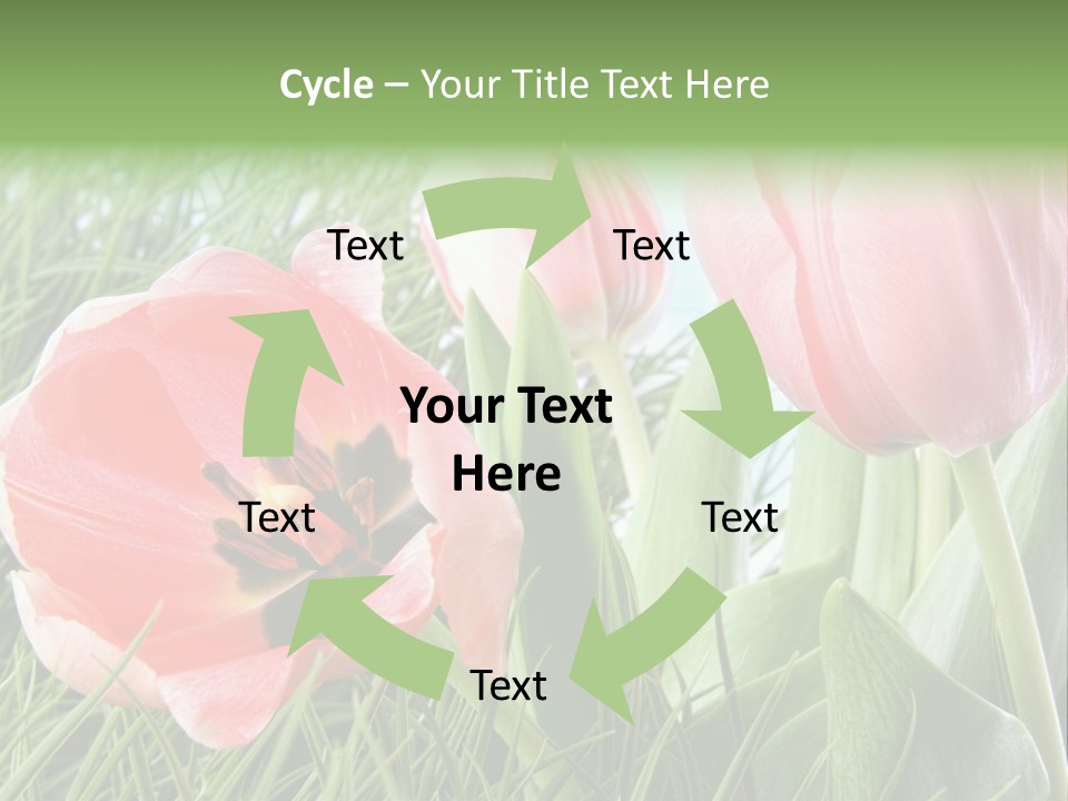 Sunlight Mother Garden PowerPoint Template