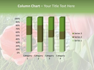 Sunlight Mother Garden PowerPoint Template