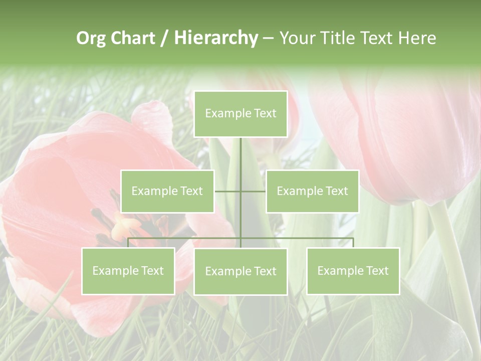 Sunlight Mother Garden PowerPoint Template