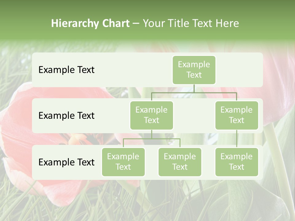 Sunlight Mother Garden PowerPoint Template