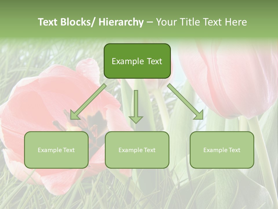 Sunlight Mother Garden PowerPoint Template