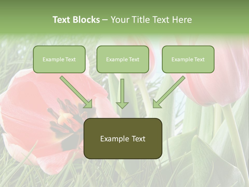 Sunlight Mother Garden PowerPoint Template