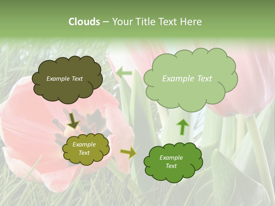 Sunlight Mother Garden PowerPoint Template
