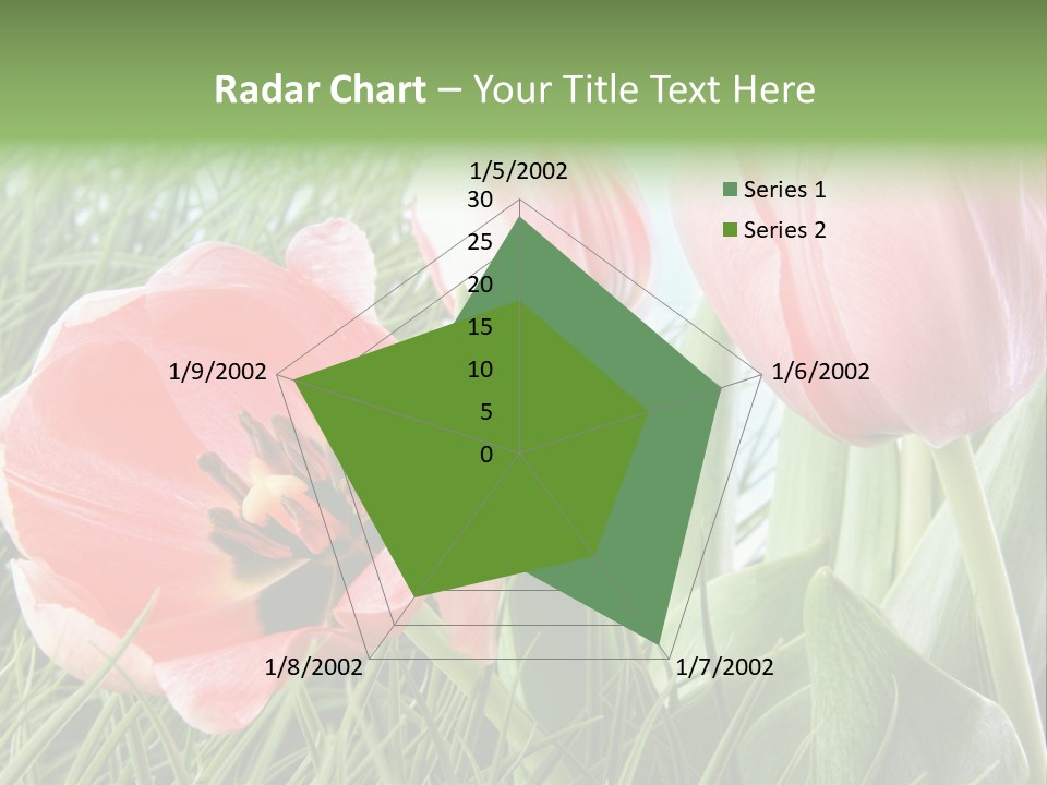 Sunlight Mother Garden PowerPoint Template