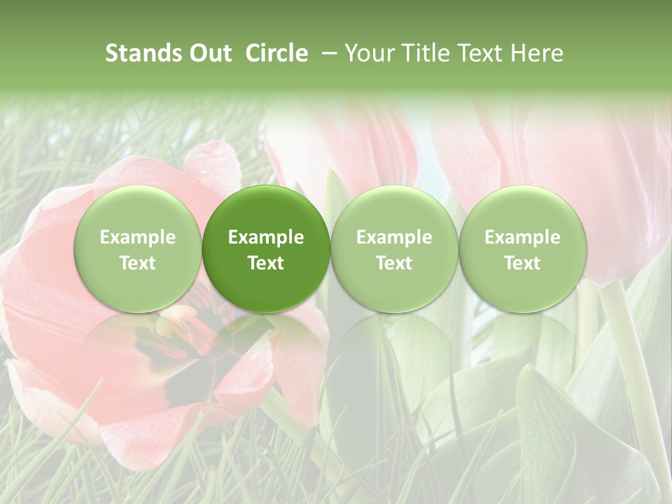Sunlight Mother Garden PowerPoint Template