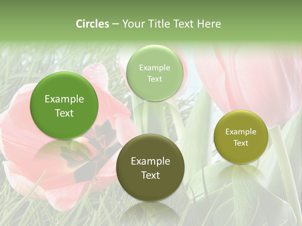 Sunlight Mother Garden PowerPoint Template