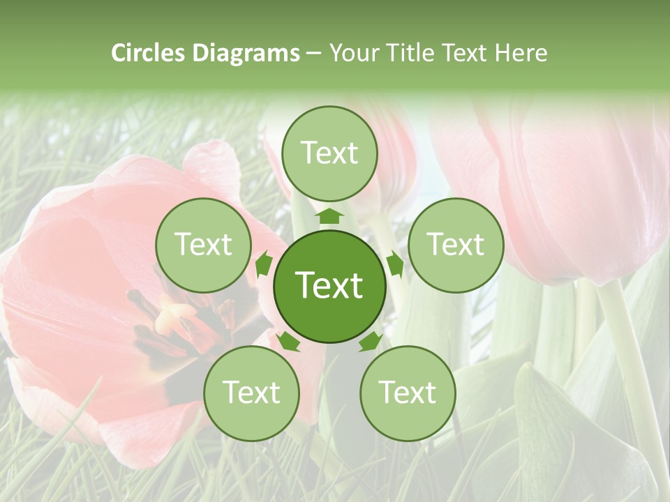 Sunlight Mother Garden PowerPoint Template