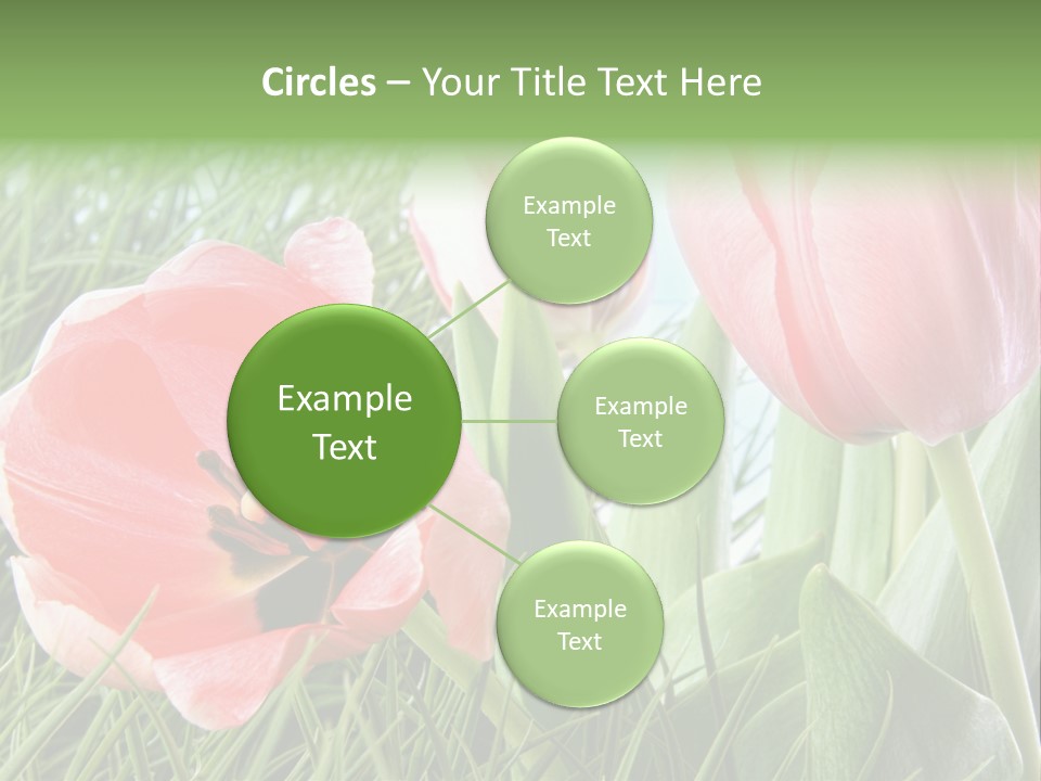 Sunlight Mother Garden PowerPoint Template