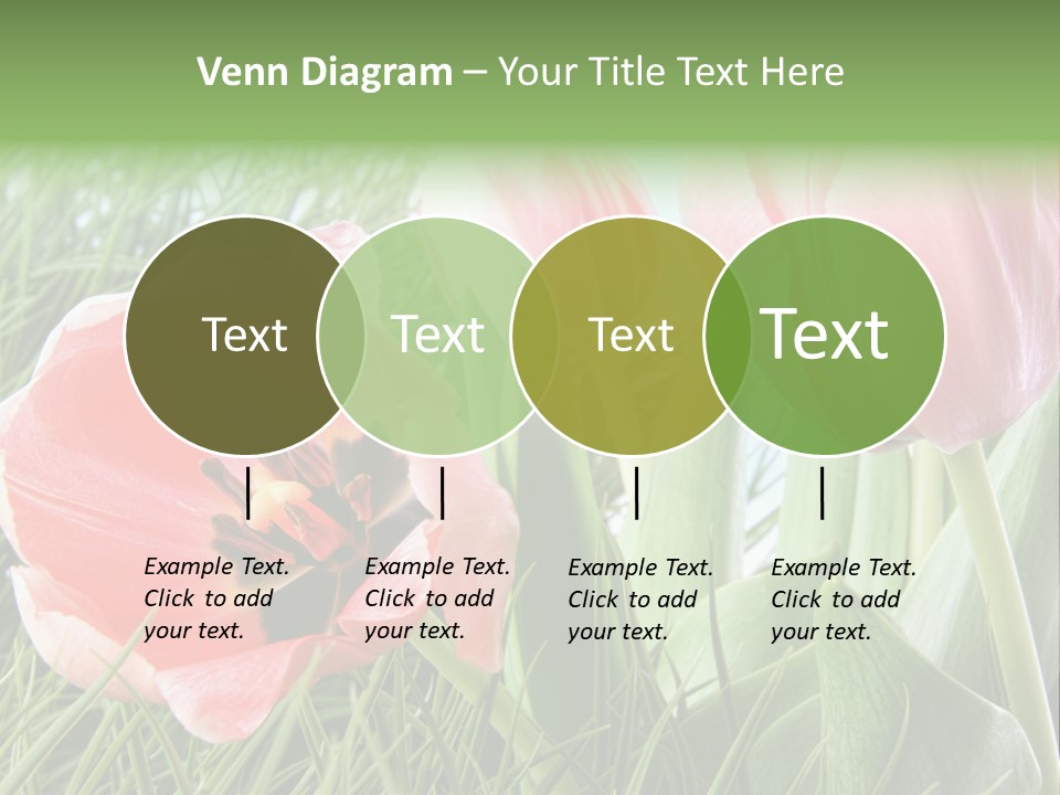 Sunlight Mother Garden PowerPoint Template
