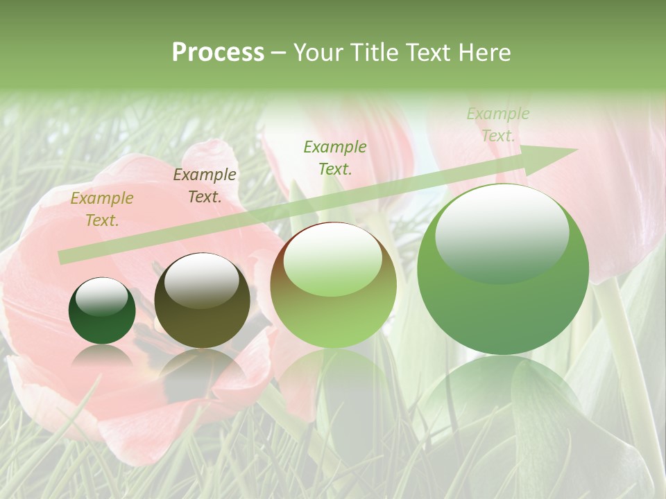 Sunlight Mother Garden PowerPoint Template