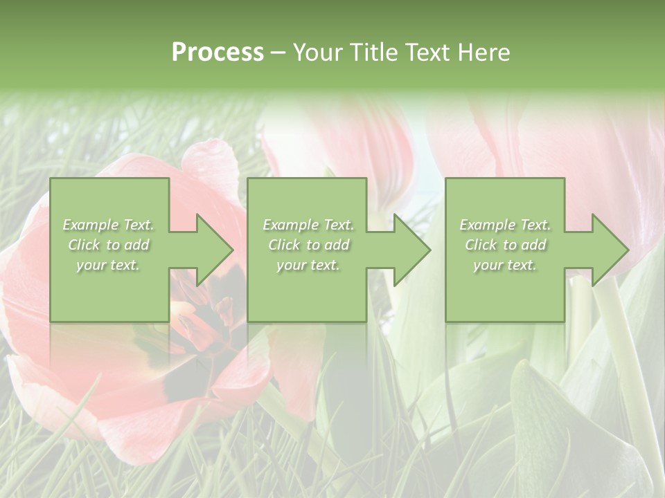 Sunlight Mother Garden PowerPoint Template