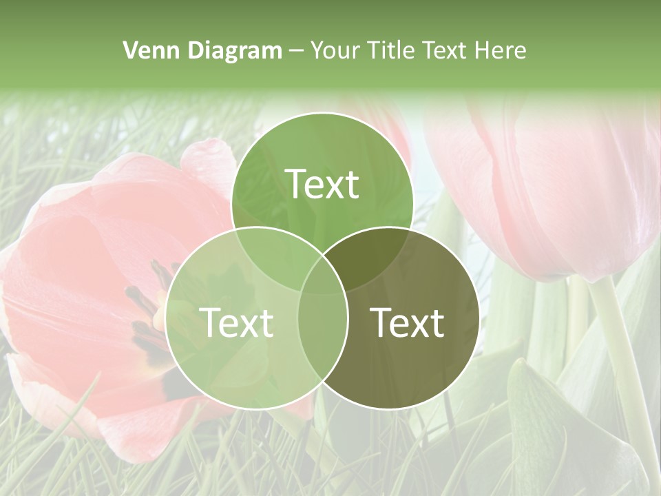 Sunlight Mother Garden PowerPoint Template