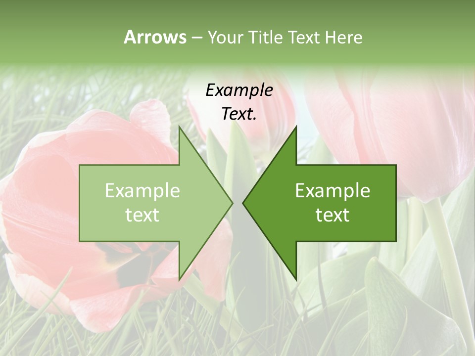 Sunlight Mother Garden PowerPoint Template