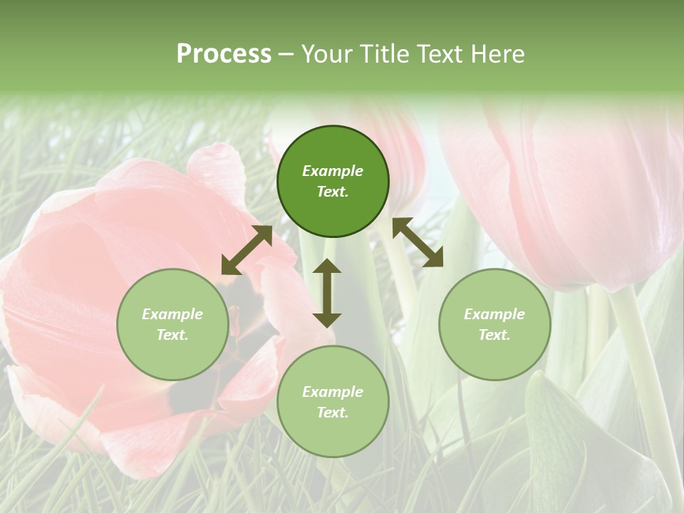 Sunlight Mother Garden PowerPoint Template