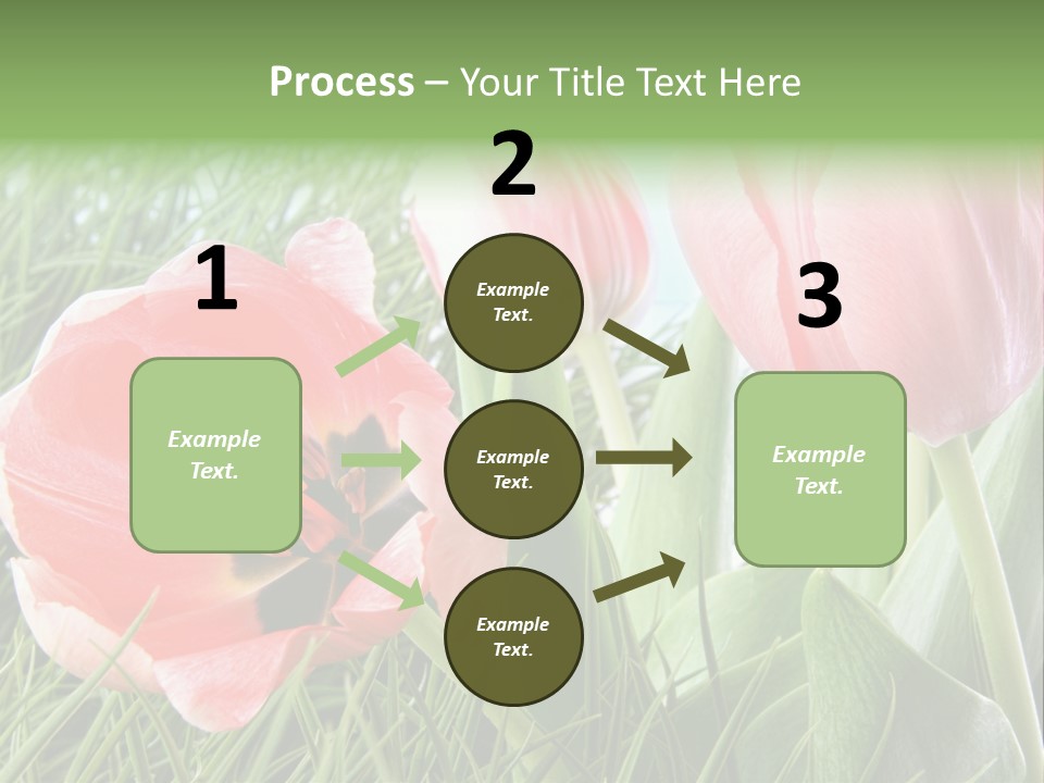 Sunlight Mother Garden PowerPoint Template