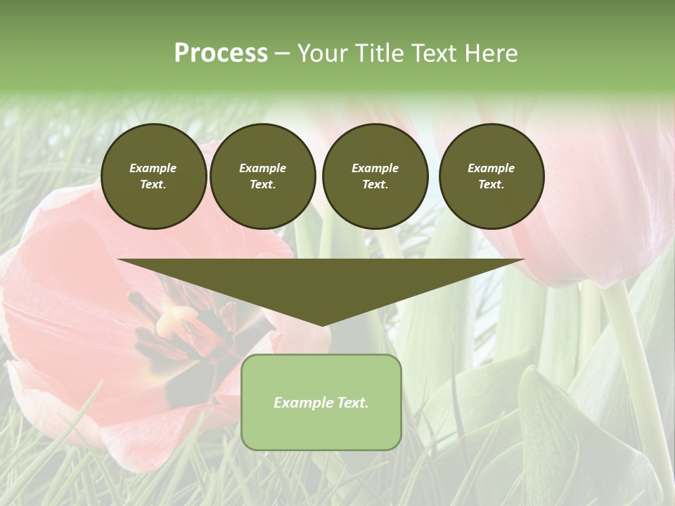 Sunlight Mother Garden PowerPoint Template