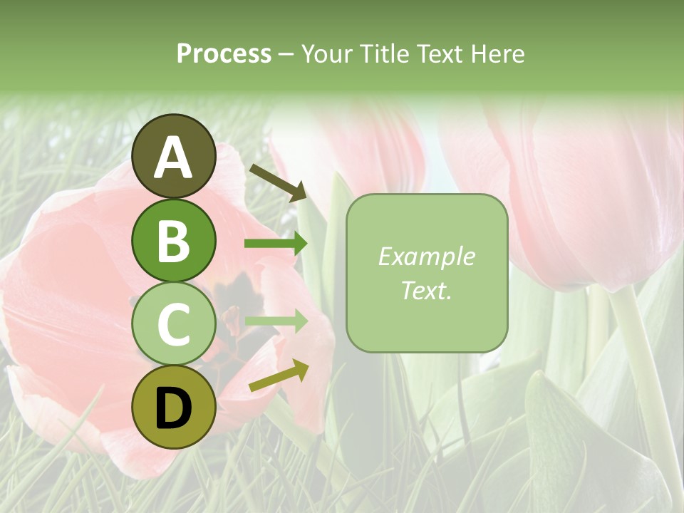 Sunlight Mother Garden PowerPoint Template