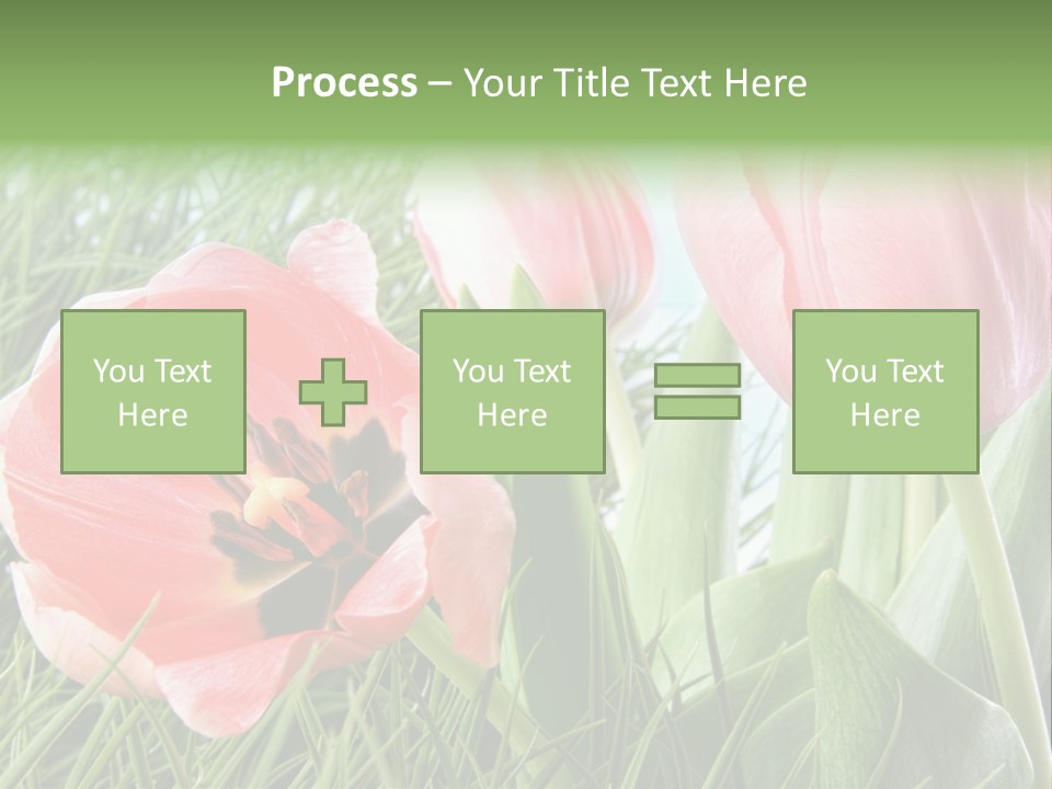 Sunlight Mother Garden PowerPoint Template