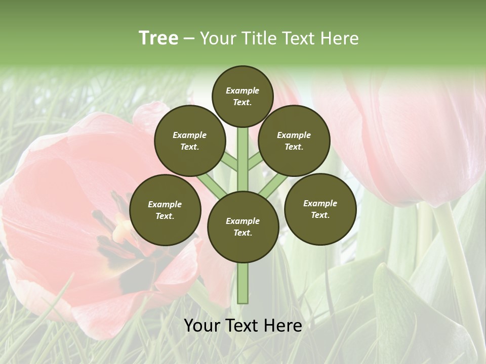 Sunlight Mother Garden PowerPoint Template