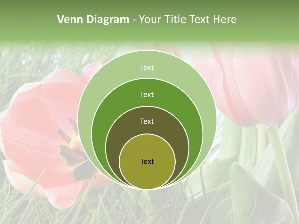 Sunlight Mother Garden PowerPoint Template