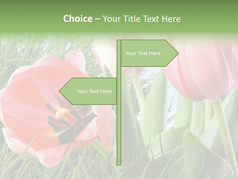 Sunlight Mother Garden PowerPoint Template