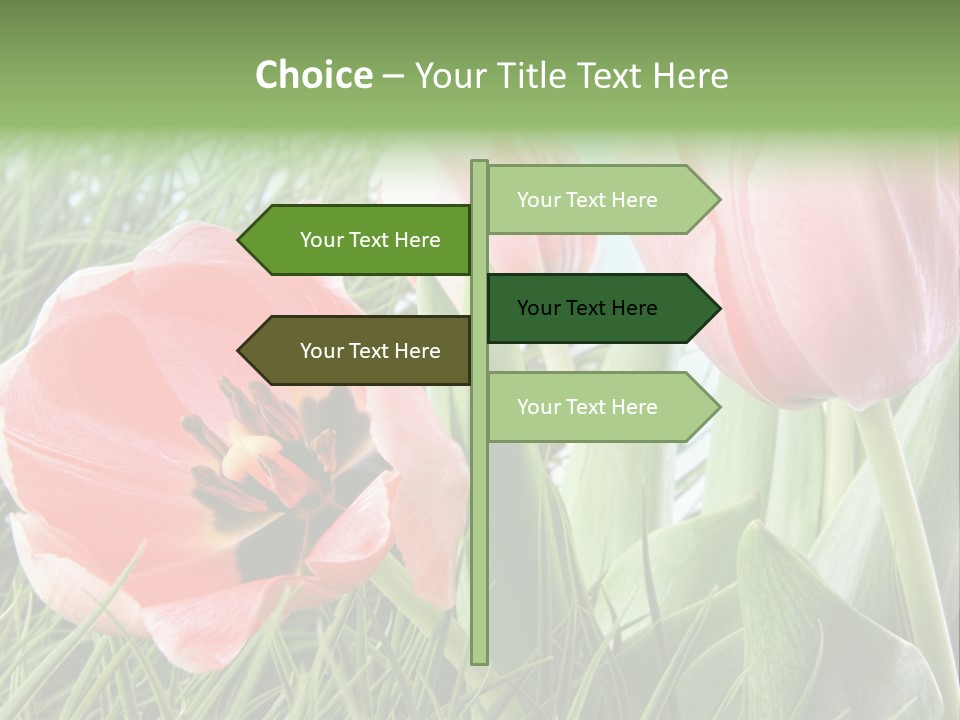 Sunlight Mother Garden PowerPoint Template