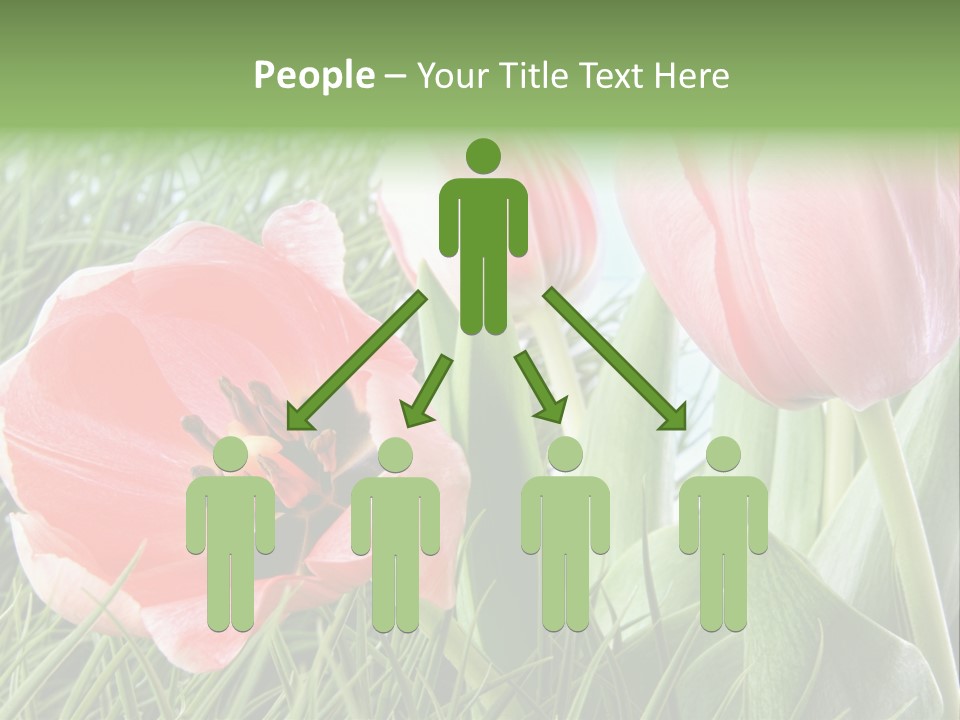 Sunlight Mother Garden PowerPoint Template