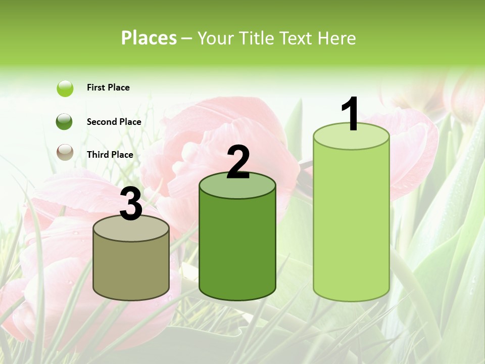 Leaf Day Colour PowerPoint Template