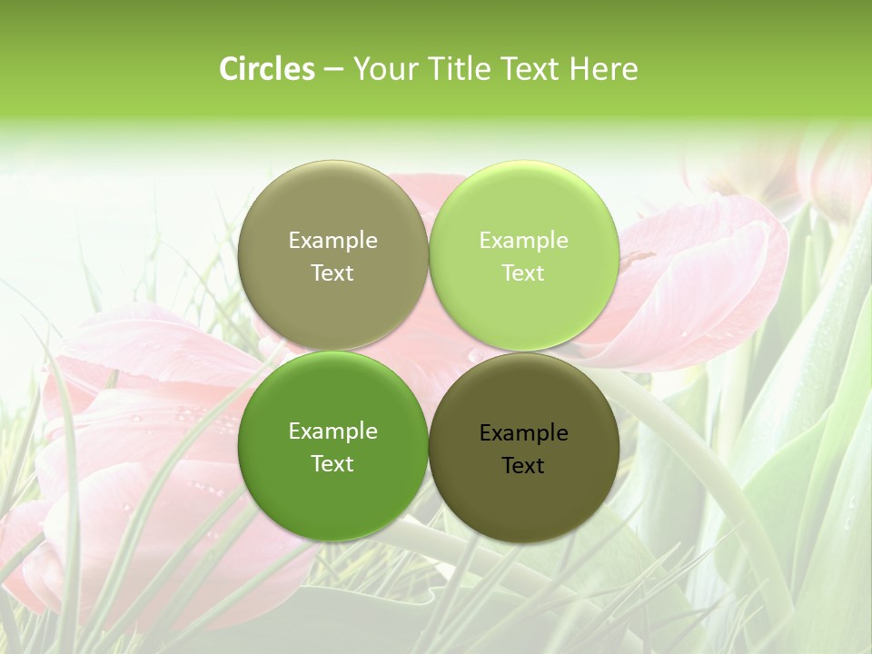 Leaf Day Colour PowerPoint Template