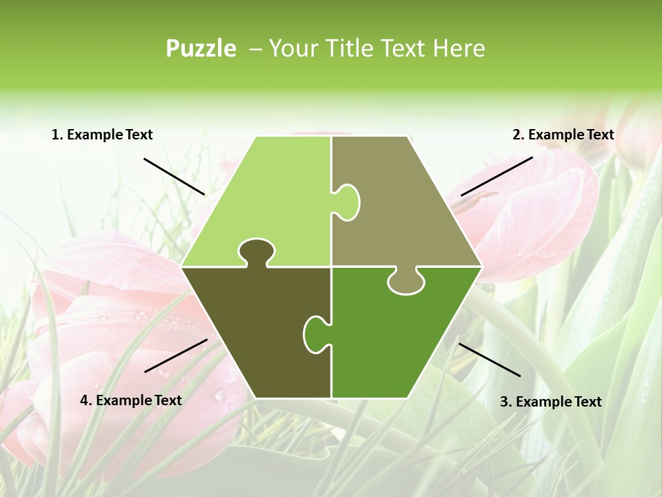 Leaf Day Colour PowerPoint Template