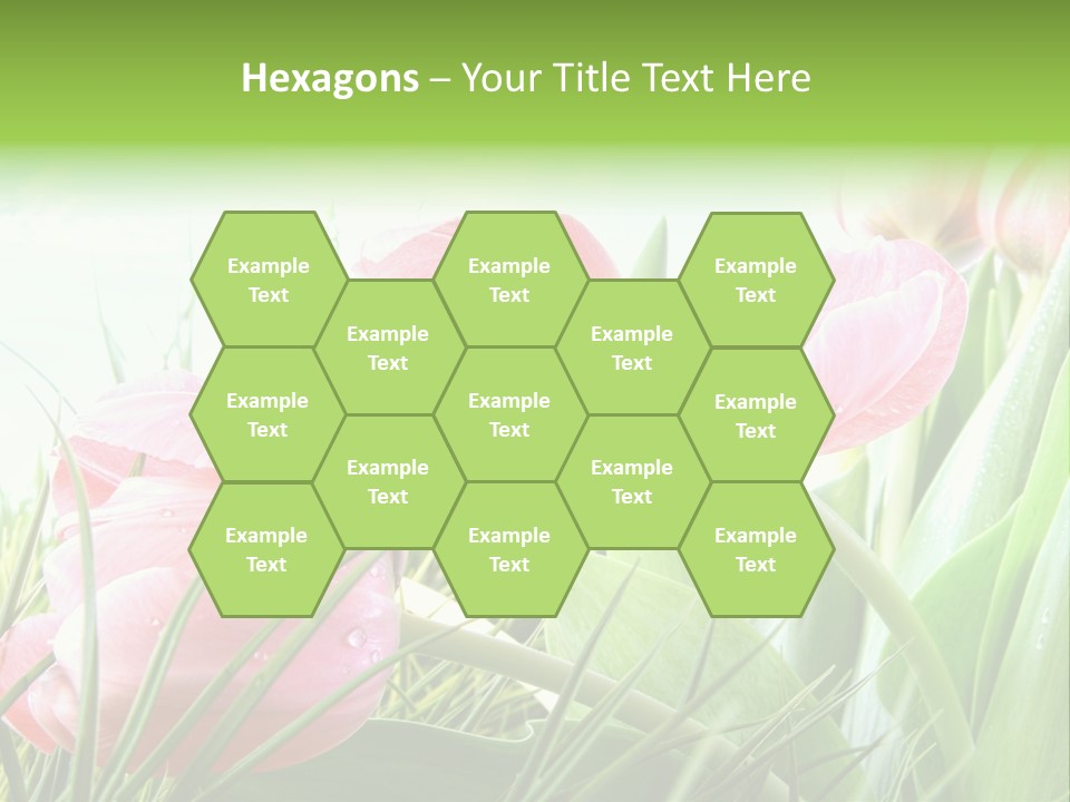 Leaf Day Colour PowerPoint Template