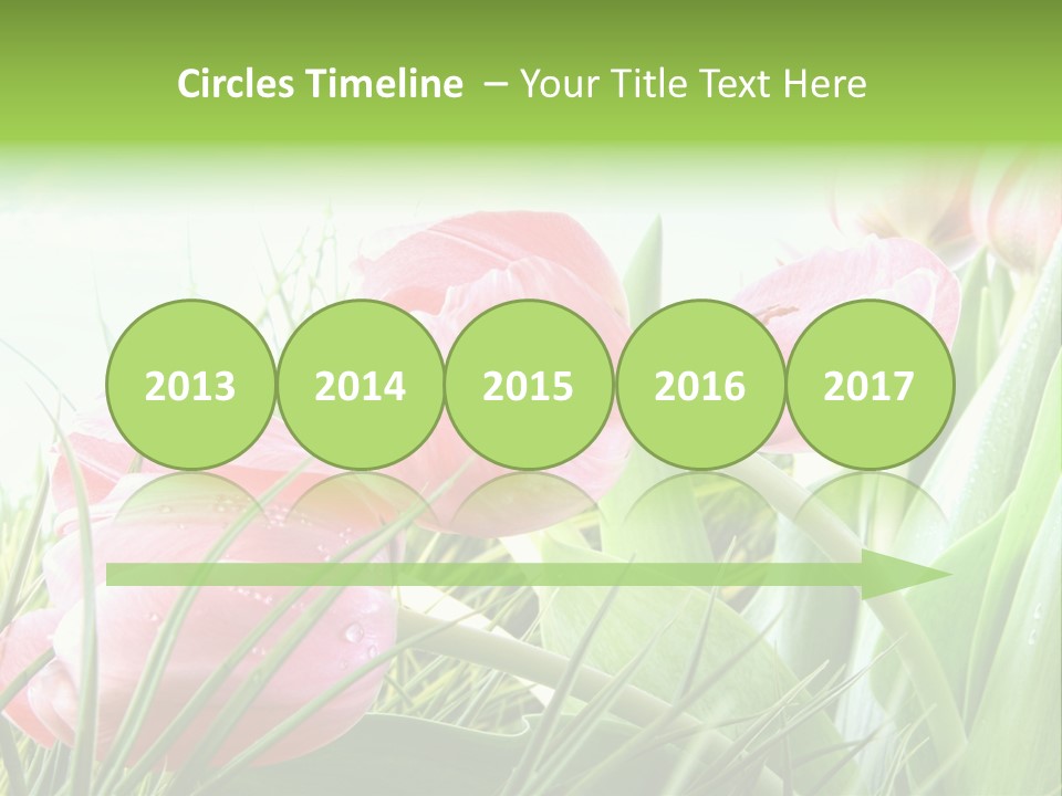 Leaf Day Colour PowerPoint Template